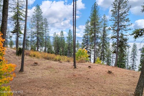 NNA Green Monarch Lane, Hope, ID, 83836 | Card Image