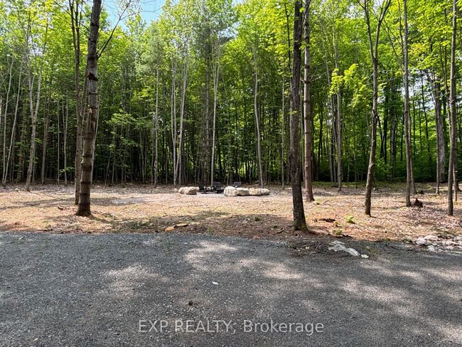 3191 Mountain View Rd, Home with 0 bedrooms, 0 bathrooms and null parking in Killaloe ON | Image 6