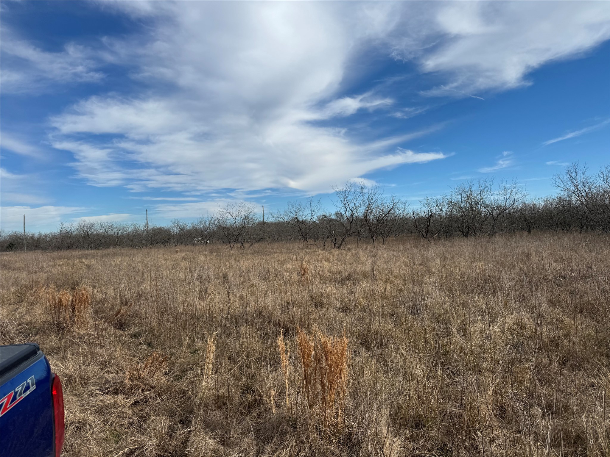 Land in Wortham 4