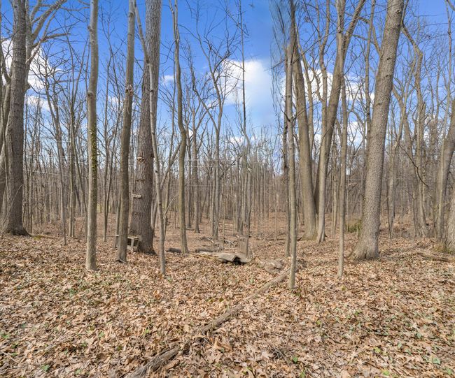 3081 Overridge Dr, Home with 0 bedrooms, 0 bathrooms and null parking in Ann Arbor MI | Image 6