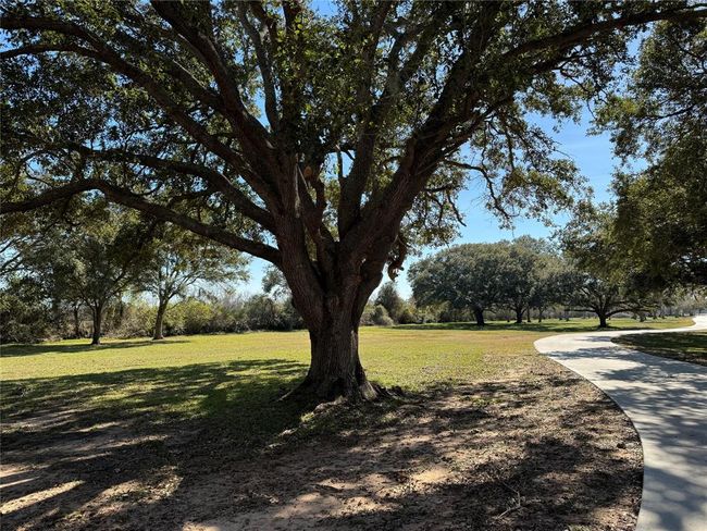 8860 County Road 400, House other with 0 bedrooms, 1 bathrooms and null parking in Brazoria TX | Image 35