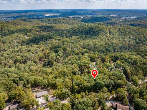 0 Ridgeway Dr, Sugar Tree, TN, 38380 | Card Image