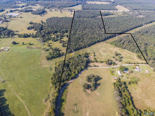 98 Acres County Road 23, Mount Hope, AL, 35651 | Card Image