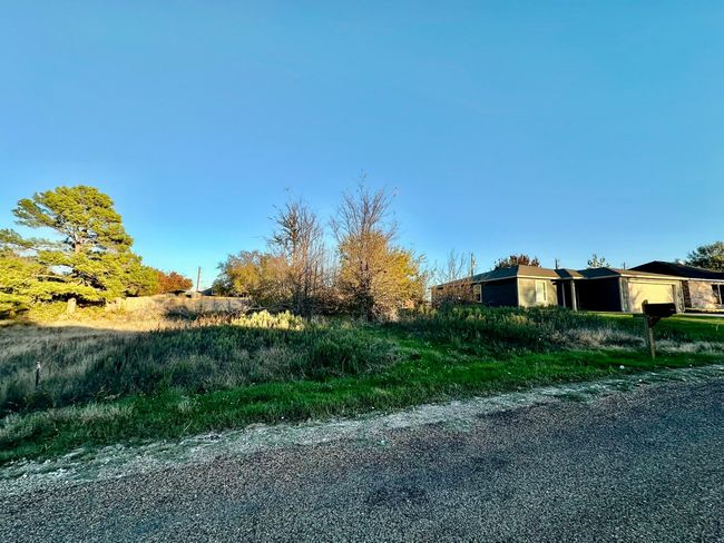 View of street | Image 4