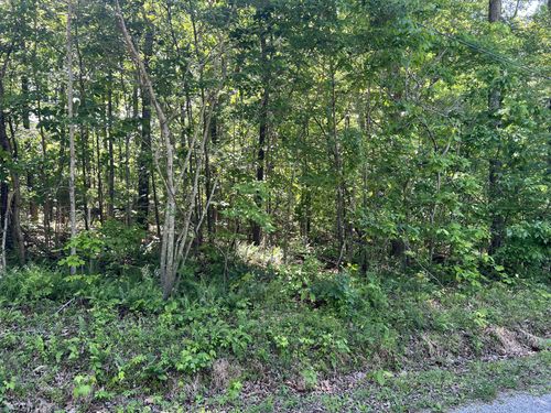 114 Swan Bay Estates Road, Buchanan, TN, 38222 | Card Image