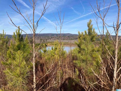 na-13699 Highway 55, WESTOVER, AL, 35147 | Card Image