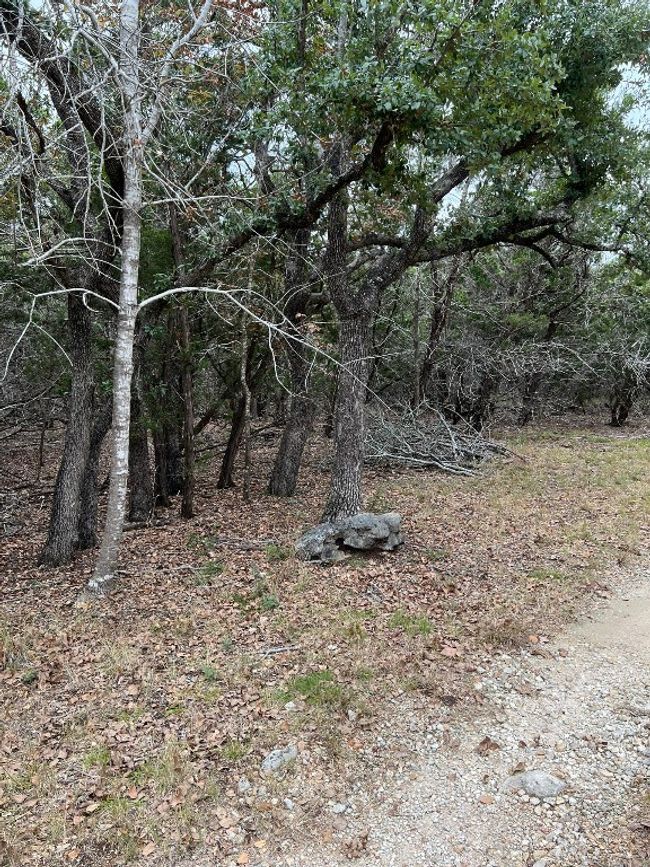 396 High Forest Dr, Home with 0 bedrooms, 0 bathrooms and null parking in Blanco TX | Image 9