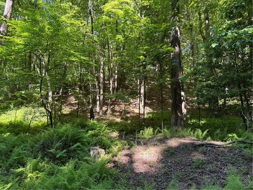 0 Walhalla Ct, ELLIJAY, GA, 30540 | Card Image