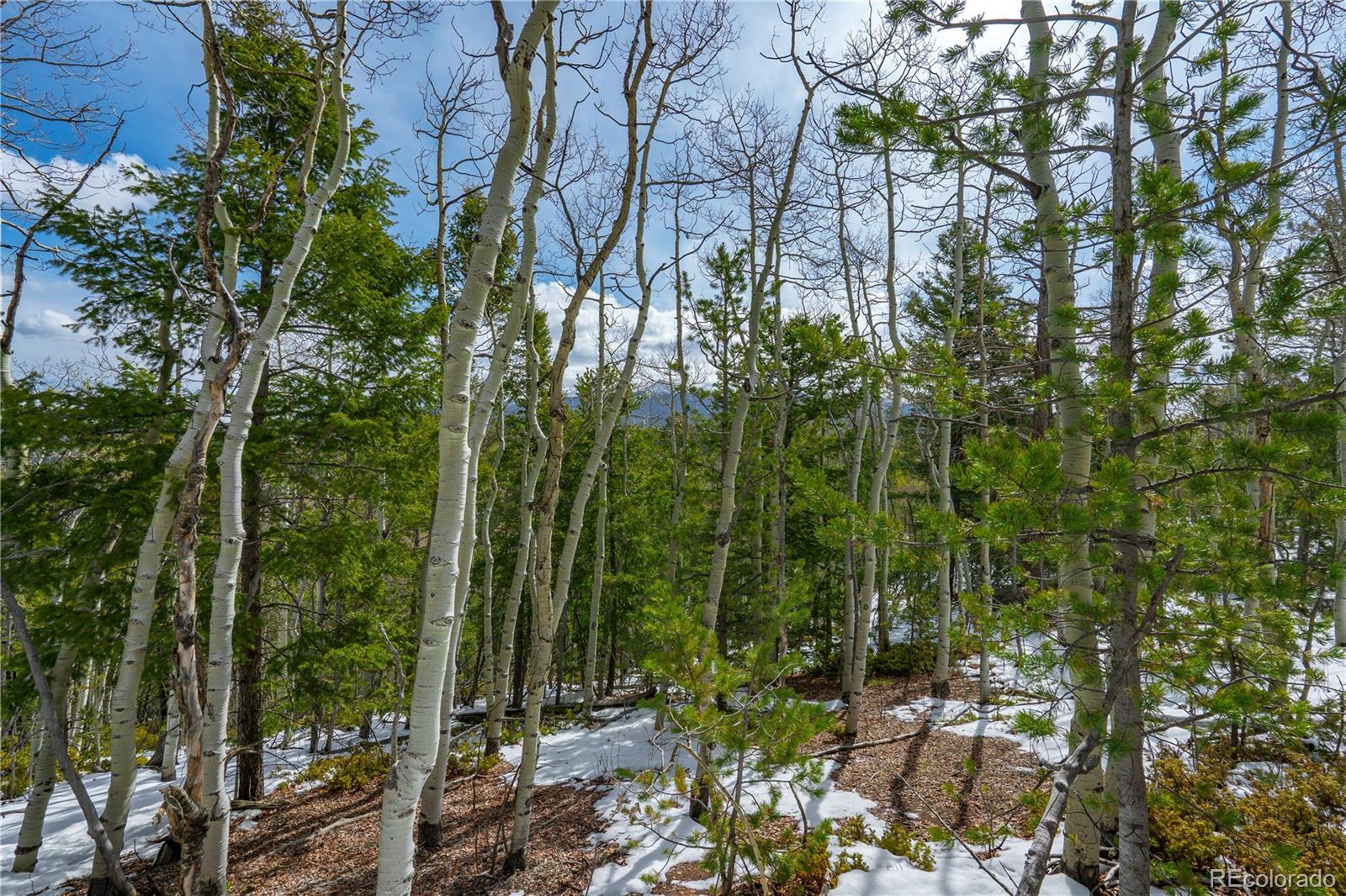 Land in Cripple Creek 3
