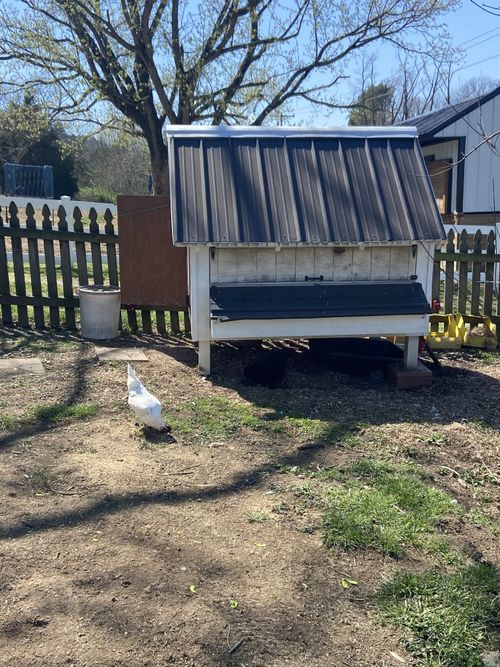 1679 E Broadway, Gallatin, TN, 37066-4646 | Card Image