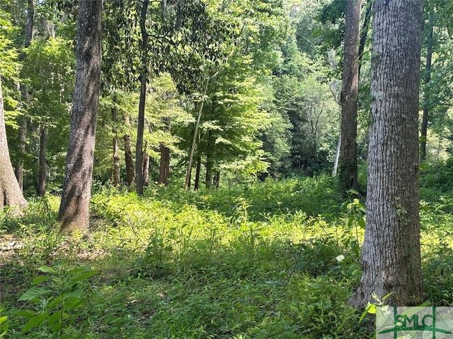 north plateau | Image 24