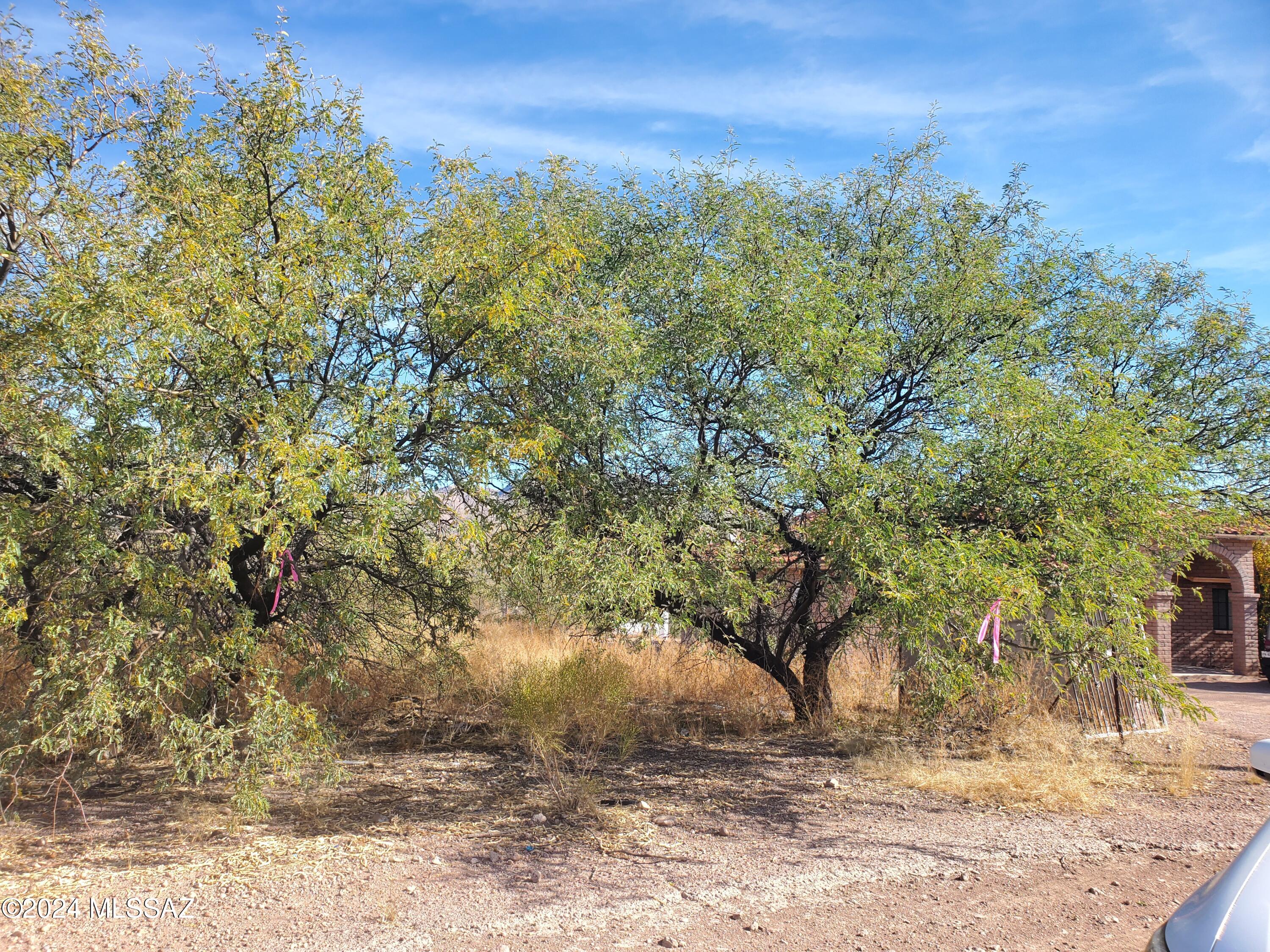 Land in Rio Rico 3