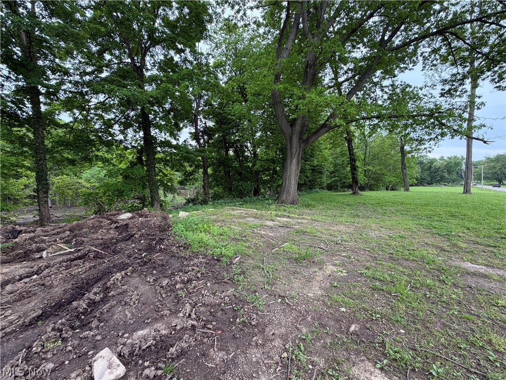 Land in Streetsboro 5