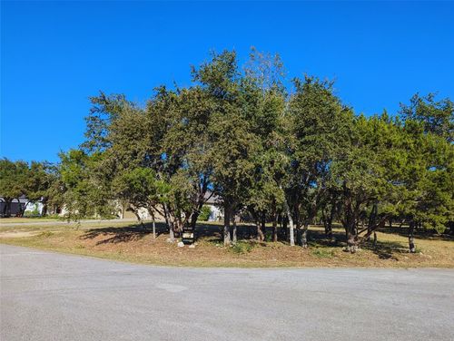 541 Onion Creek Ln, Driftwood, TX, 78619-4413 | Card Image