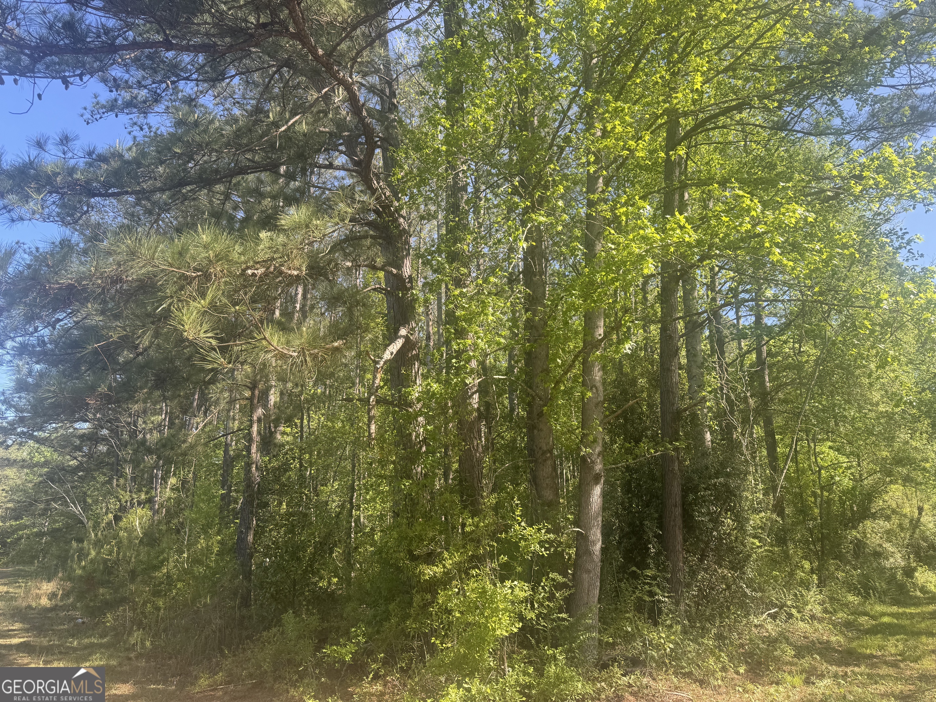 Land in Roanoke 3