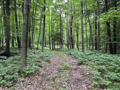 ne14-nw14-sect-16-Lot 1 Prehn Drive, MAINE, WI, 54401 | Card Image