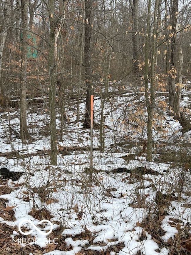 North Property Boundary, East Side Of Road | Image 5