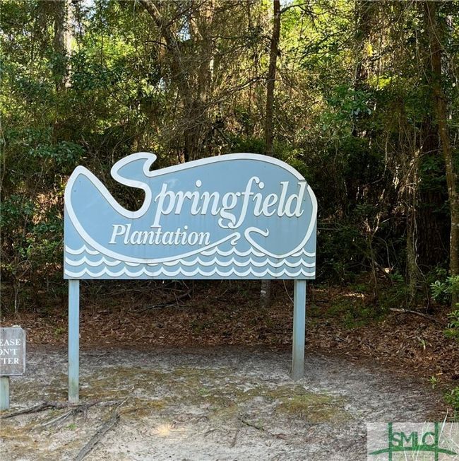 2593 Julienton Dr Ne, House other with 3 bedrooms, 3 bathrooms and null parking in Townsend GA | Image 39