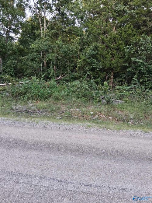 2.0 Acres County Hwy, Danville, AL, 35619 | Card Image