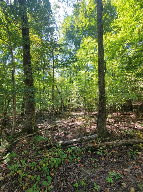 0 Fire Tower Road, Cleveland, TN, 37323 | Card Image