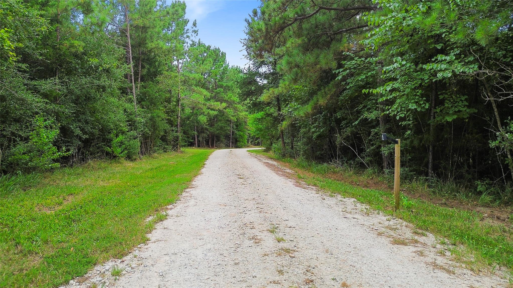 Land in New Waverly 4