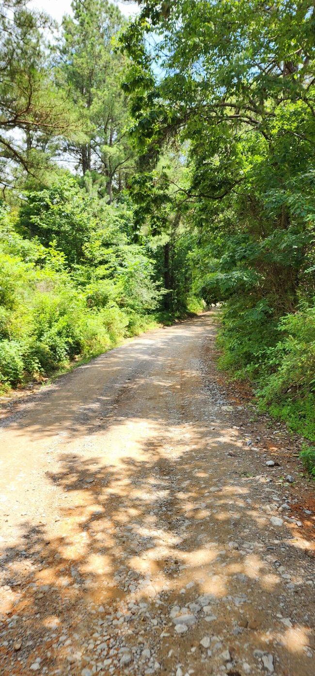 5199 Burkett Chapel Rd, Home with 4 bedrooms, 2 bathrooms and null parking in Whitwell TN | Image 37