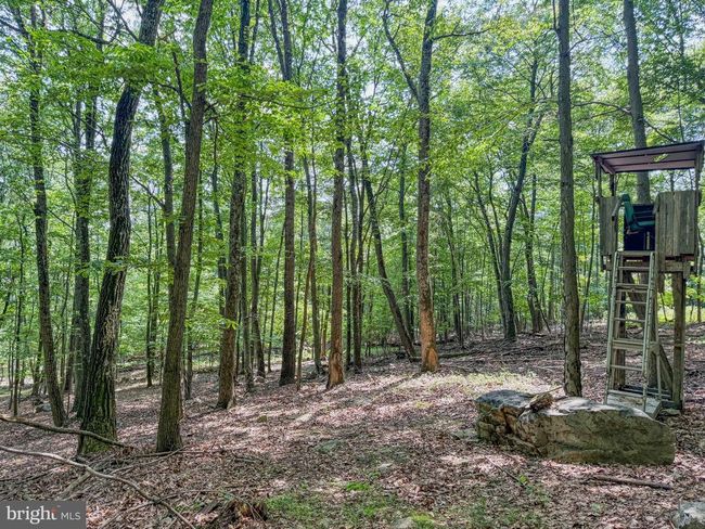 220 Notch Rd, Home with 0 bedrooms, 0 bathrooms and null parking in DUNCANNON PA | Image 10