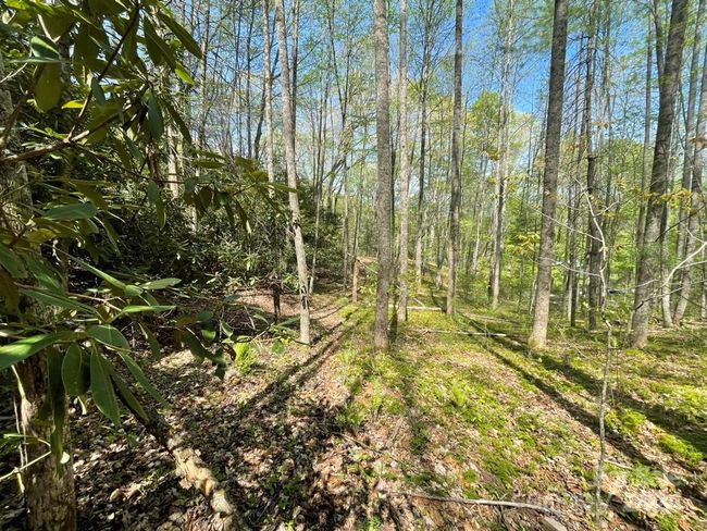 0000 Cawood Ln, Home with 0 bedrooms, 0 bathrooms and null parking in Clyde NC | Image 5