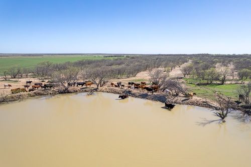 TBD County Road 300, Coleman, TX, 76834 | Card Image