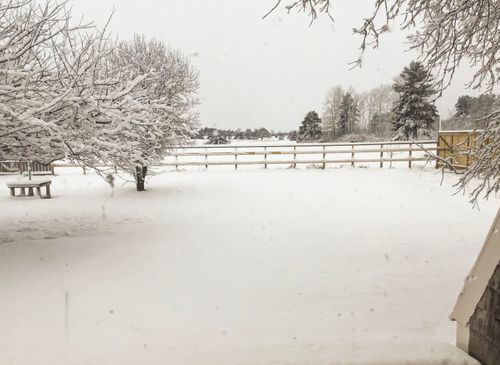 8269 Vt Route 125, Bridport, VT, 05734 | Card Image