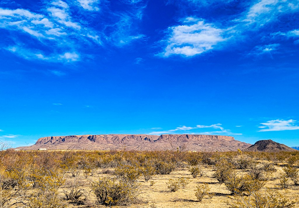 Land in Terlingua 3
