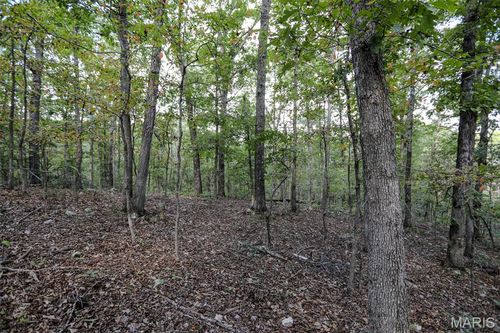 0 County Road 505, Greenville, MO, 63944 | Card Image