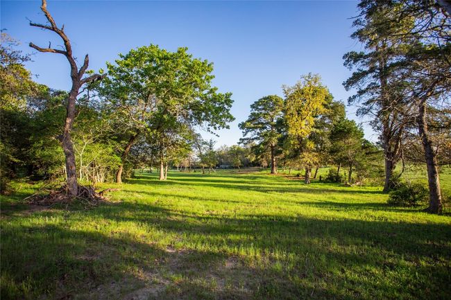 View of yard | Image 20
