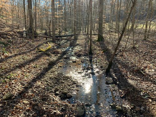 0 Weatherford Creek Rd, Lutts, TN, 38471 | Card Image