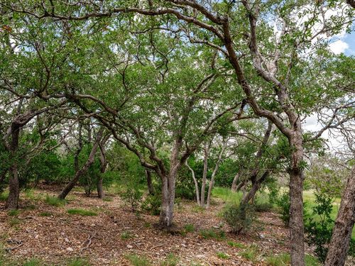 4-1632 Link Rd, Doss, TX, 78618 | Card Image