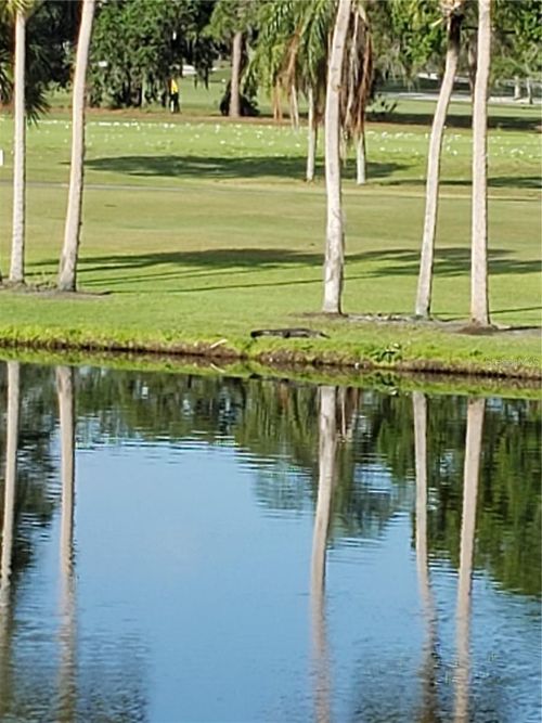 4108-5709 Avista Dr, SARASOTA, FL, 34243-3642 | Card Image