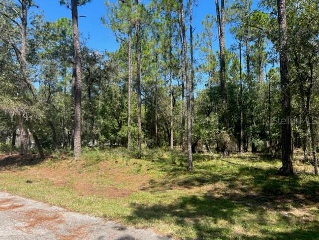 00 Sw 84th Loop, Home with 0 bedrooms, 0 bathrooms and null parking in Dunnellon FL | Image 4