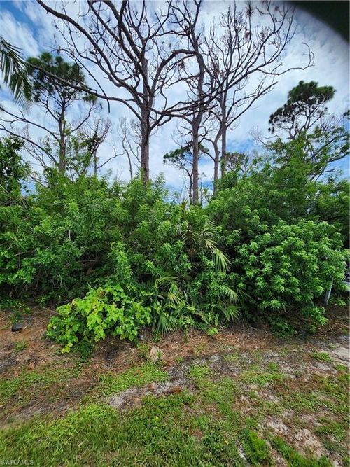 3853 Citrus St, ST. JAMES CITY, FL, 33956-2561 | Card Image