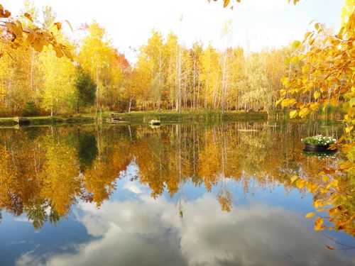 28 Overlook Dr, Saranac, NY, 12981 | Card Image