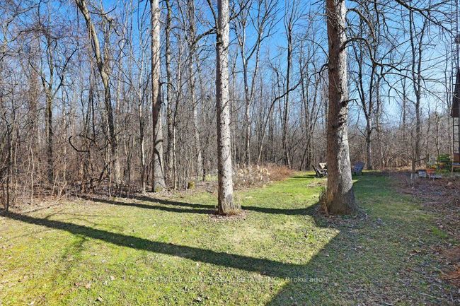 215 Corkoran Rd, House other with 4 bedrooms, 2 bathrooms and 4 parking in Jasper ON | Image 38