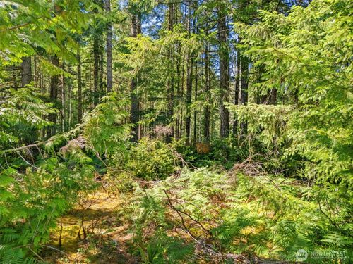 0 SP1357 E Glenwood Drive, Union, WA, 98592 | Card Image