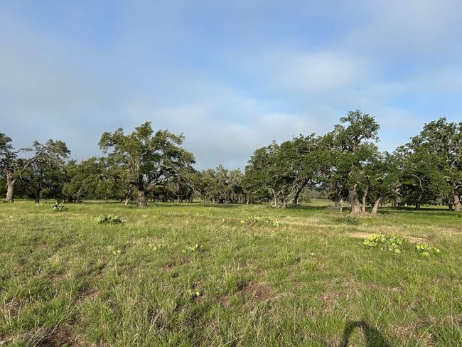 View of yard | Image 9