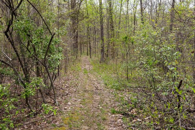 12.6 Acres Deer Lake Drive, Home with 0 bedrooms, 0 bathrooms and null parking in Bloomfield IN | Image 8