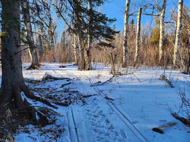 XX-2 Hoaglund Dr, Home with 0 bedrooms, 0 bathrooms and null parking in Tofte MN | Image 11