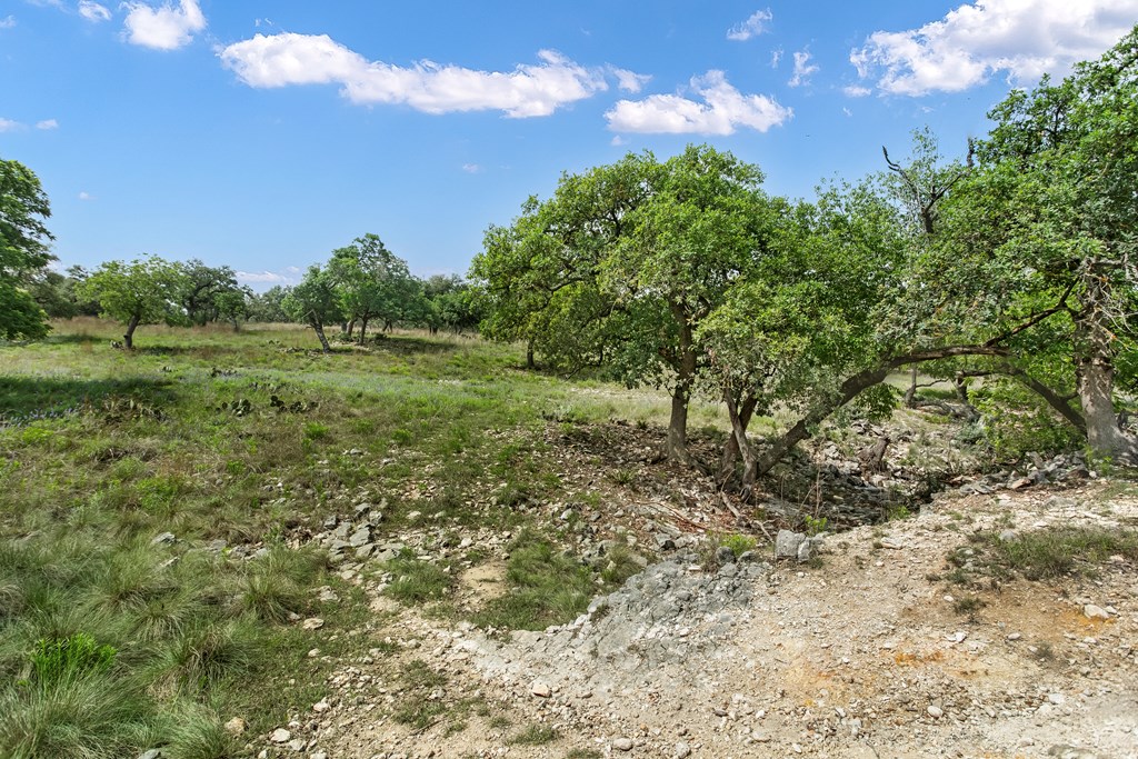 Farm in Kerrville 2