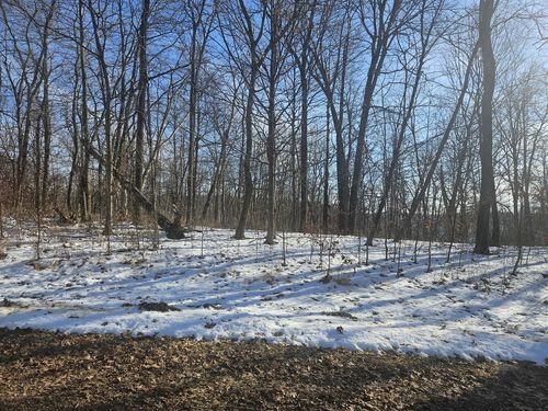 lot-53-9450 Deepwoods Lane, BAGLEY, WI, 53801 | Card Image