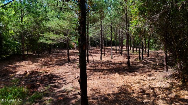 DJI_20250605160535_0677_D.00_02_19_06.St | Image 24