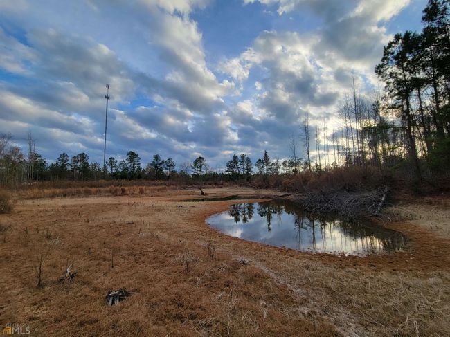 2757 Us Highway 1 N, Home with 0 bedrooms, 0 bathrooms and null parking in swainsboro GA | Image 27