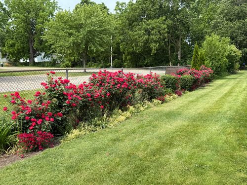 183-1018 Village Ln, Jenison, MI, 49428-8376 | Card Image
