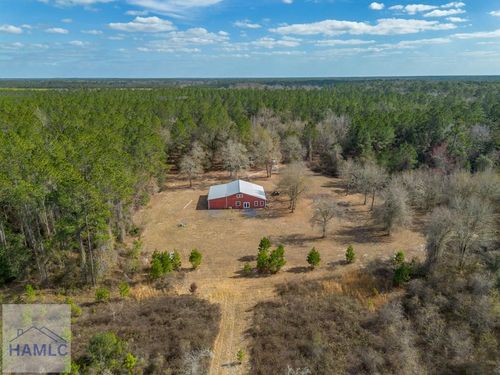 12321 Highway 185, Saint George, GA, 31562-3671 | Card Image